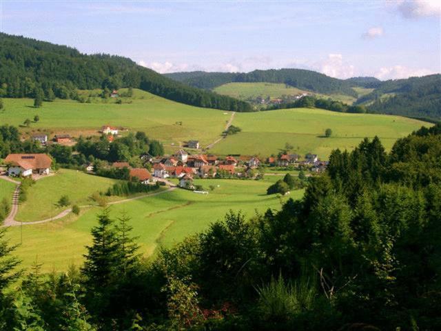 Отель Hirschen-Dorfmuehle Biederbach Экстерьер фото